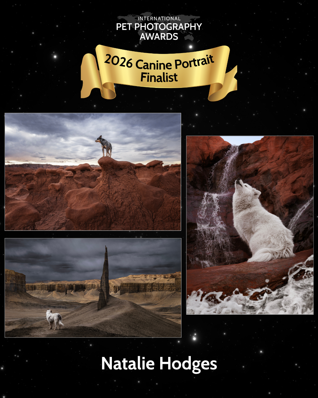 Canine Portrait - Natalie Hodges.png