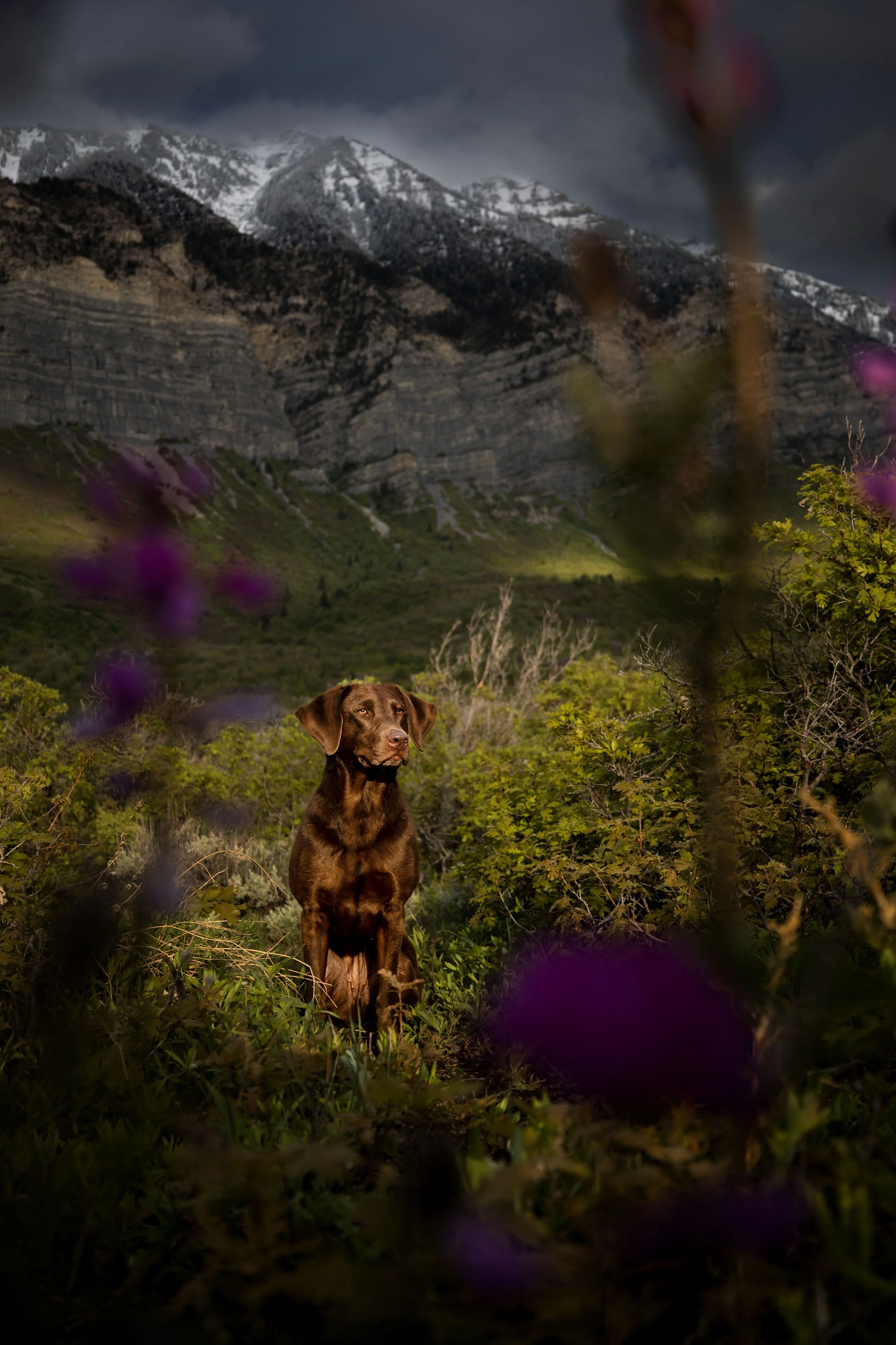Tarot mountain 06.jpg