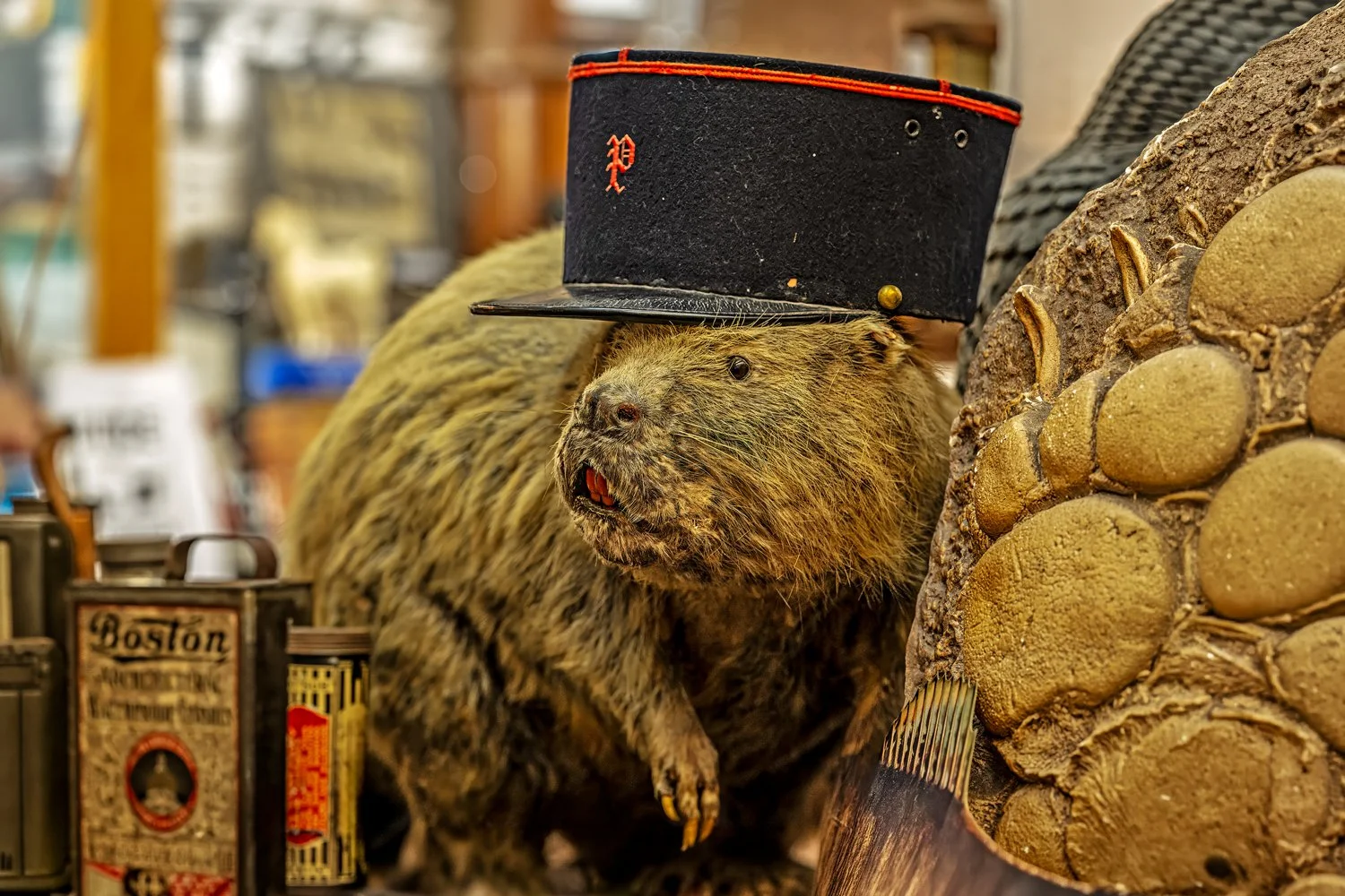 Forestwood Antique Mall, Dallas bever.jpg