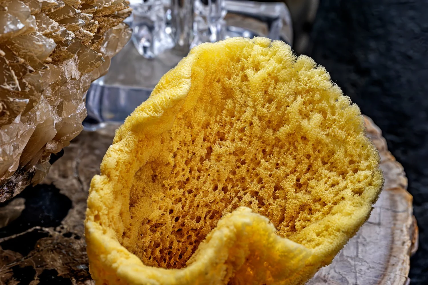 Forestwood Antique Mall, Dallas coral1.jpg
