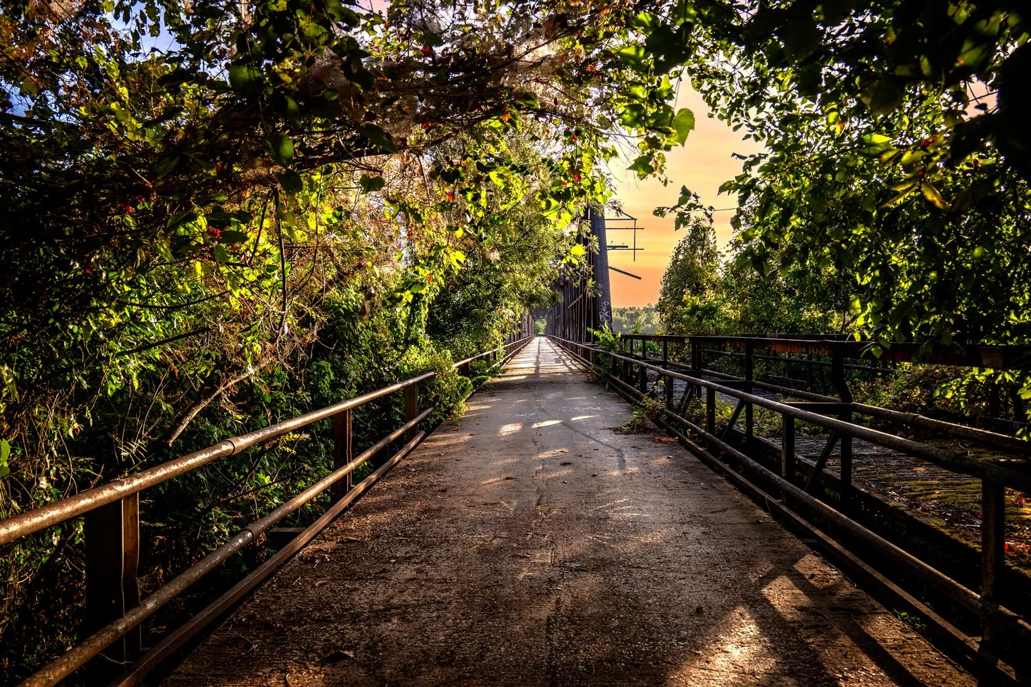 _Z919633-HDR-1.jpg