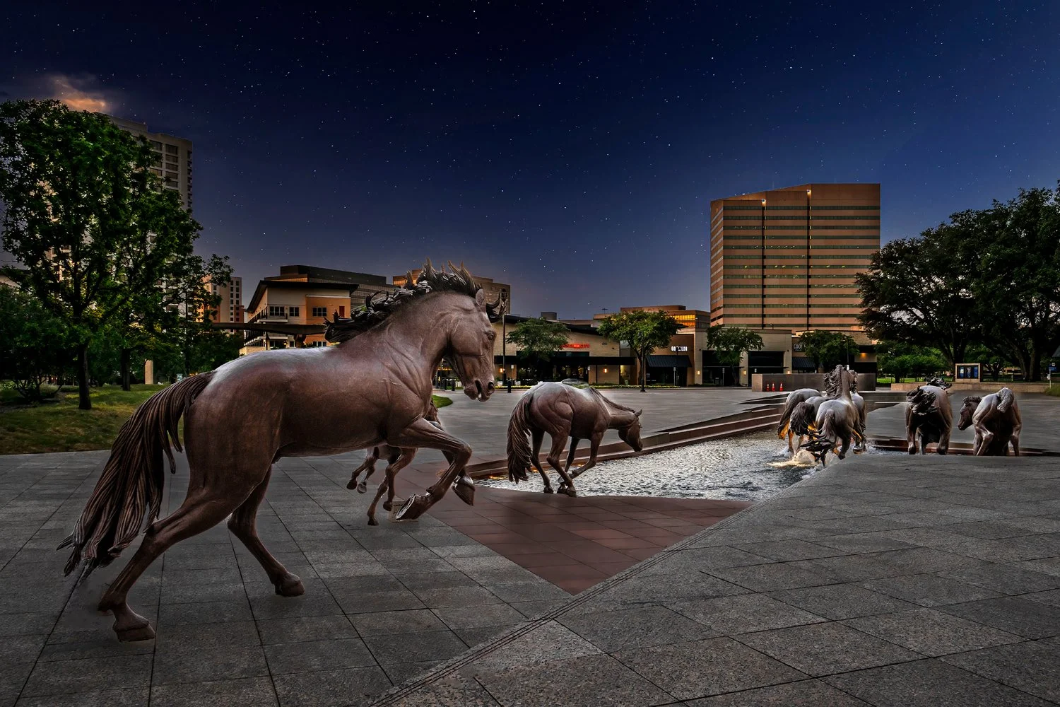 dallas-construction-contractors-builders-photographer-dallas10.jpg