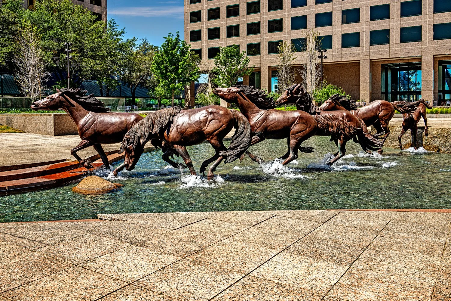 dallas-construction-contractors-builders-photographer-dallas09.jpg
