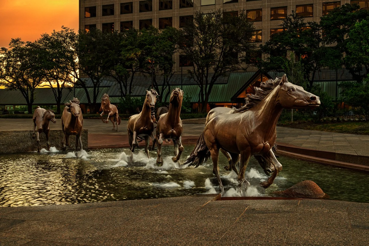 dallas-construction-contractors-builders-photographer-dallas11.jpg
