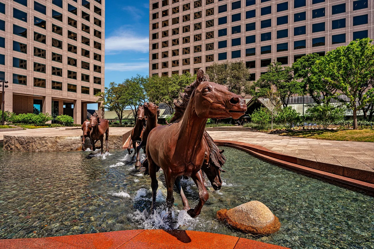 describe this photo of horses