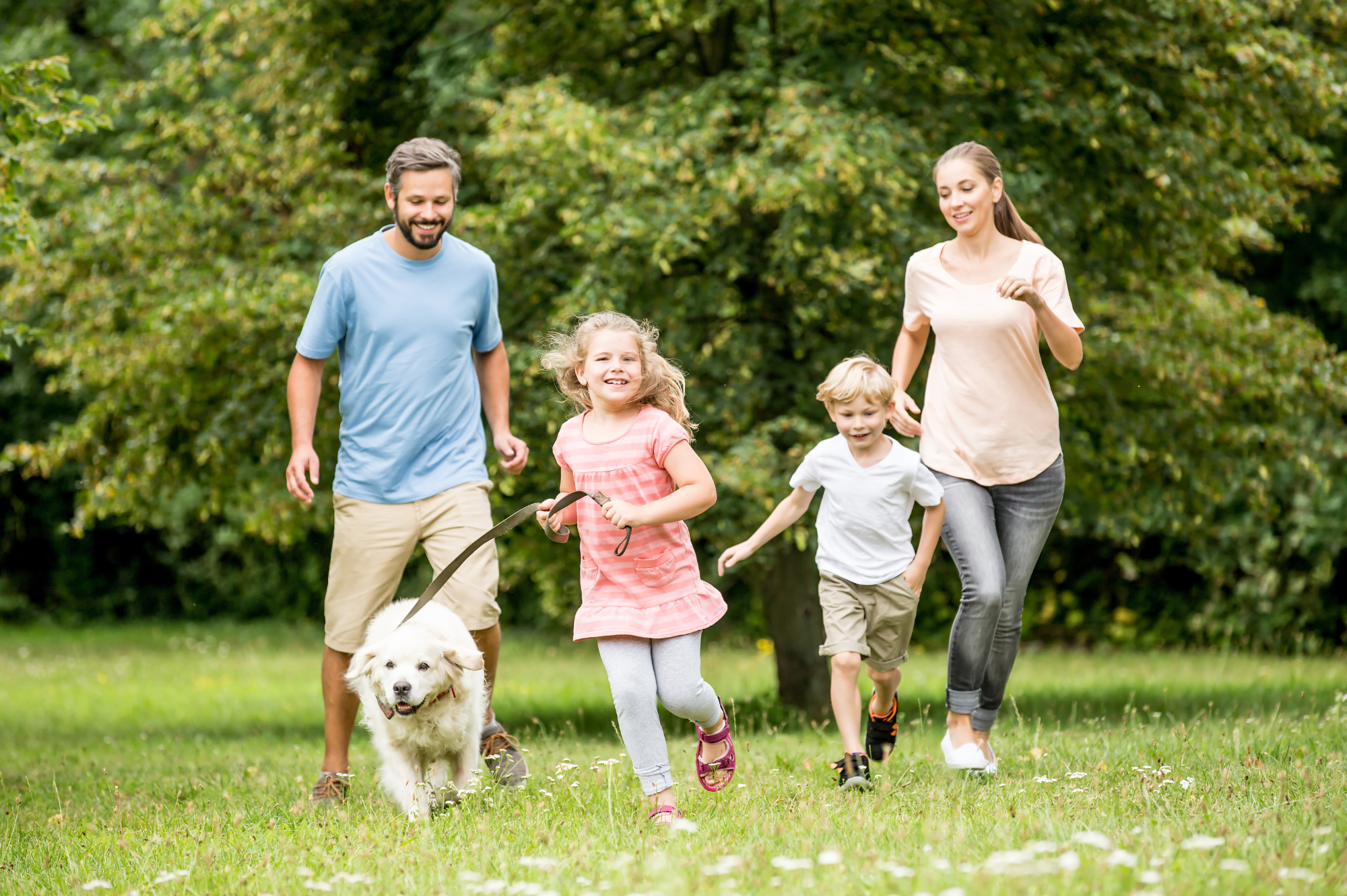 A family of four and their dog running in a park with green trees in the background.