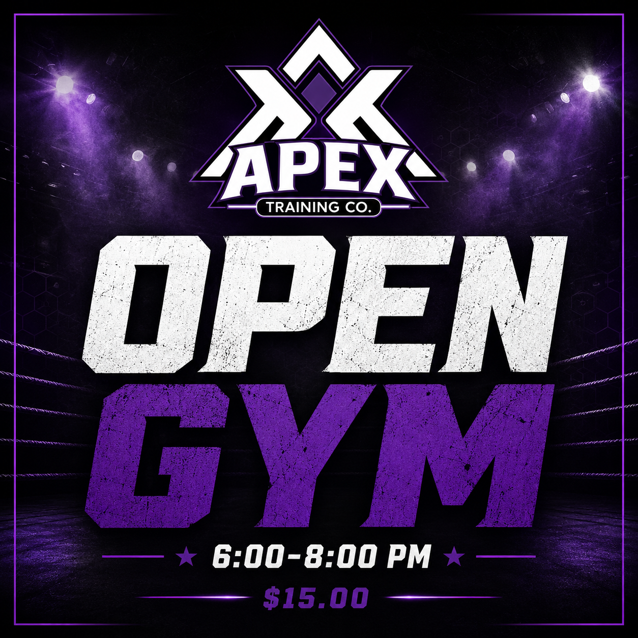 Open Gym 