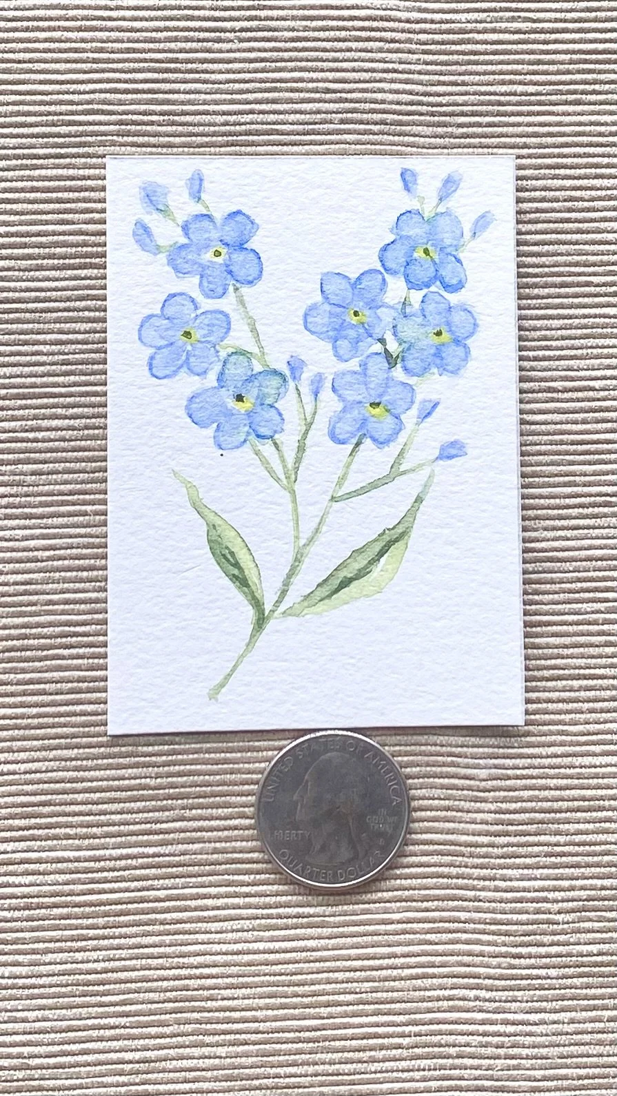 Forget-Me-Nots