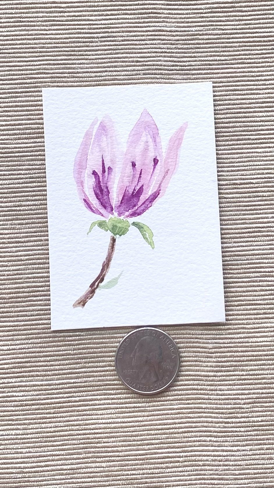 Magnolia