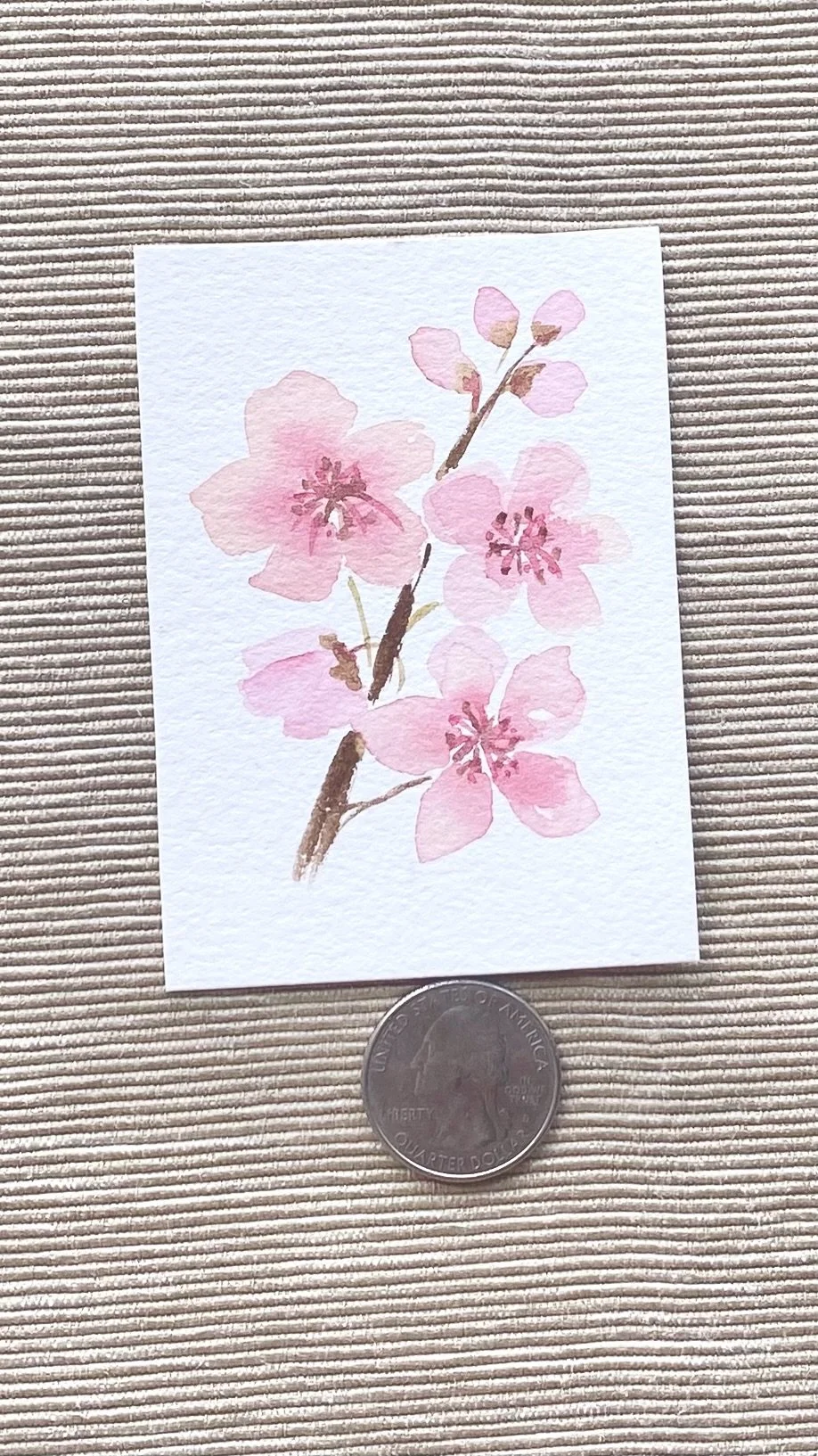 Cherry Blossoms