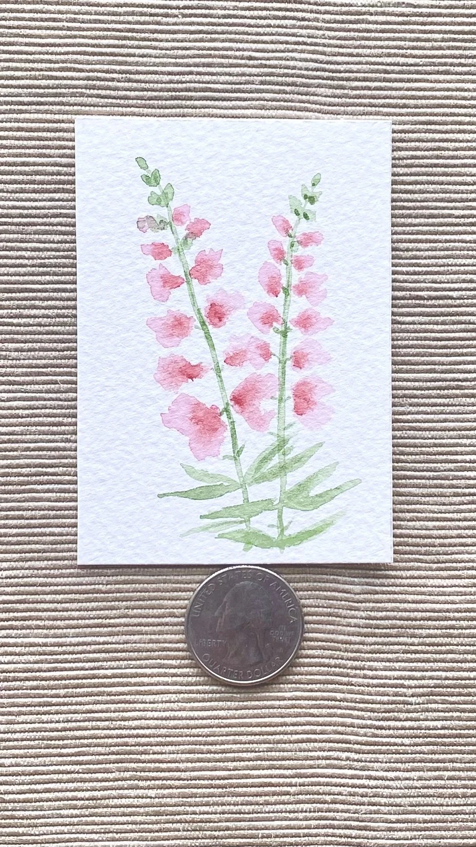 Snapdragon