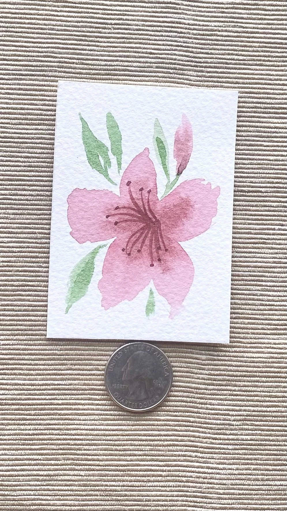 Azalea