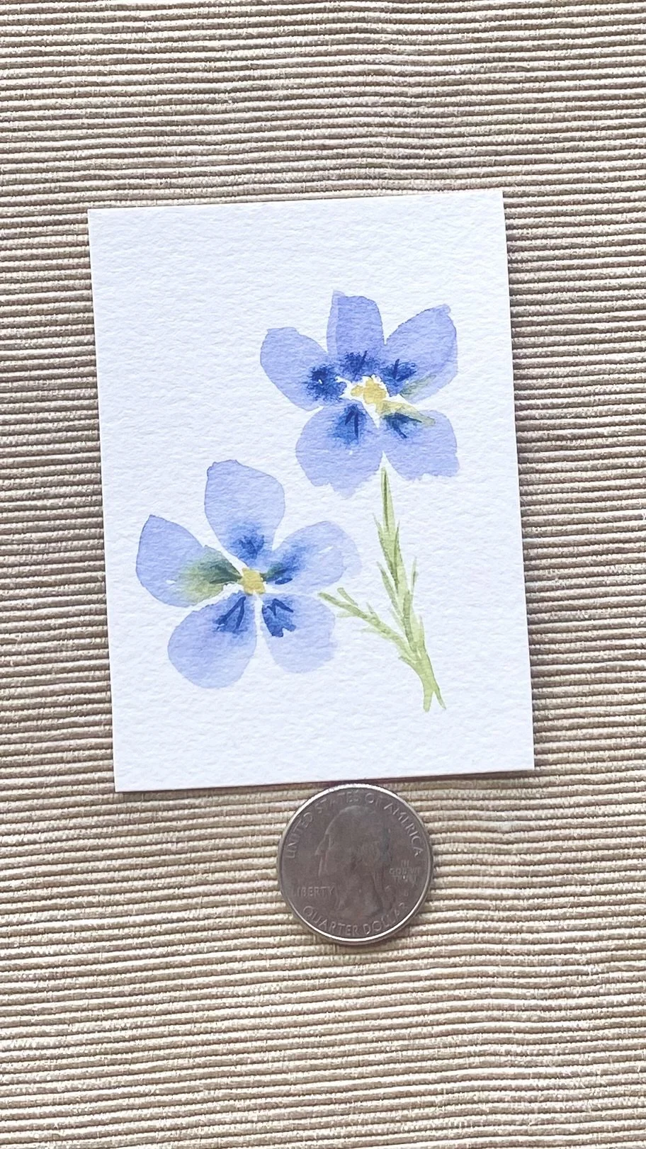 Blue Flax