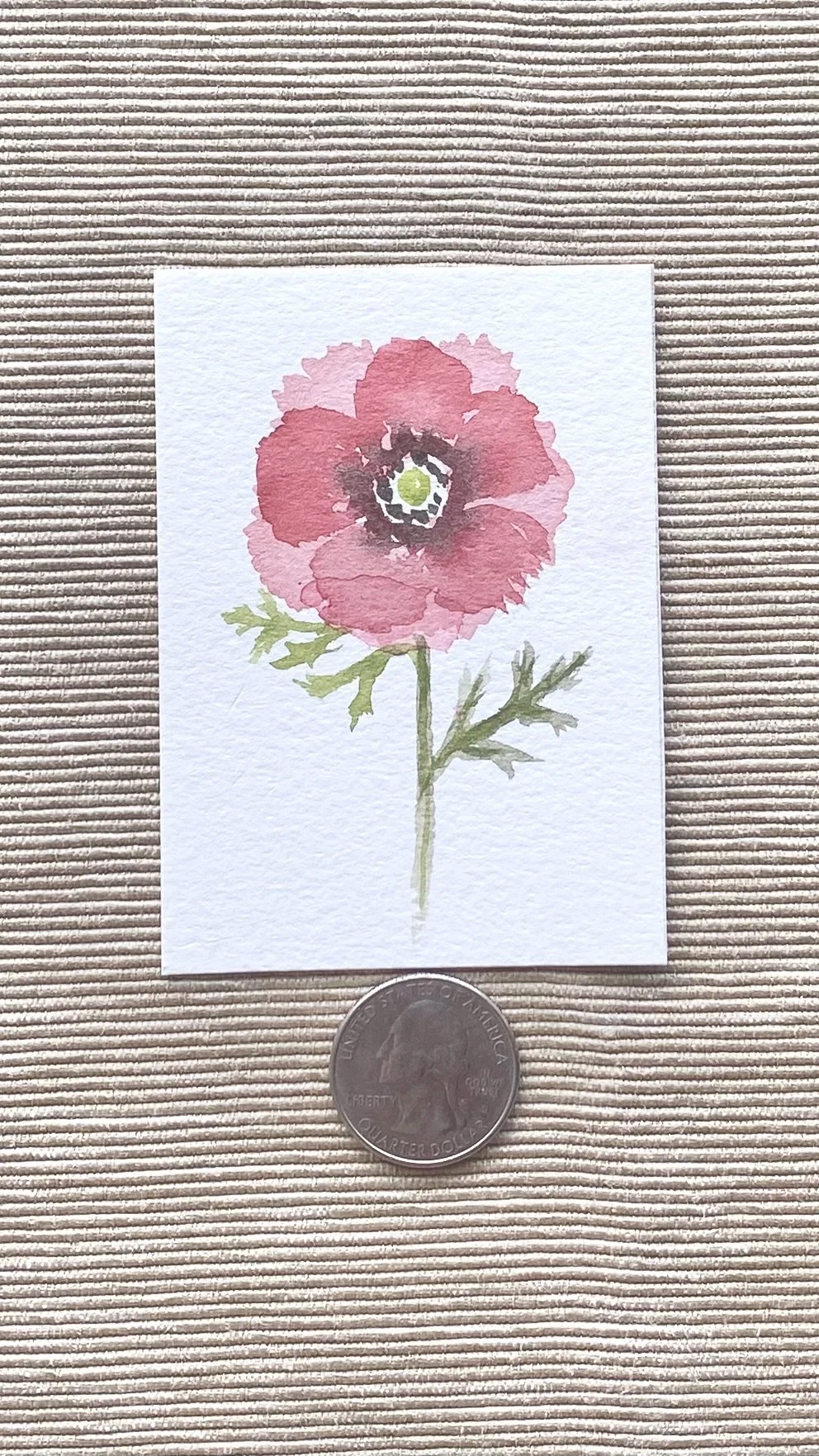 Red Poppy