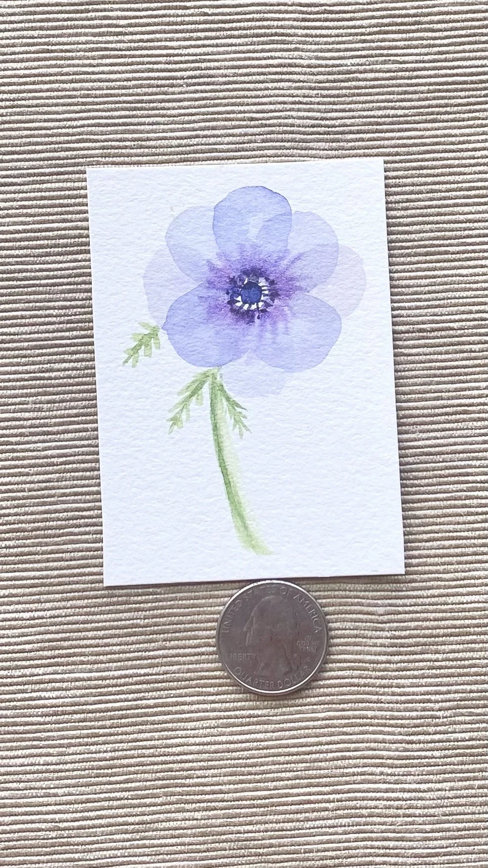 Anemone
