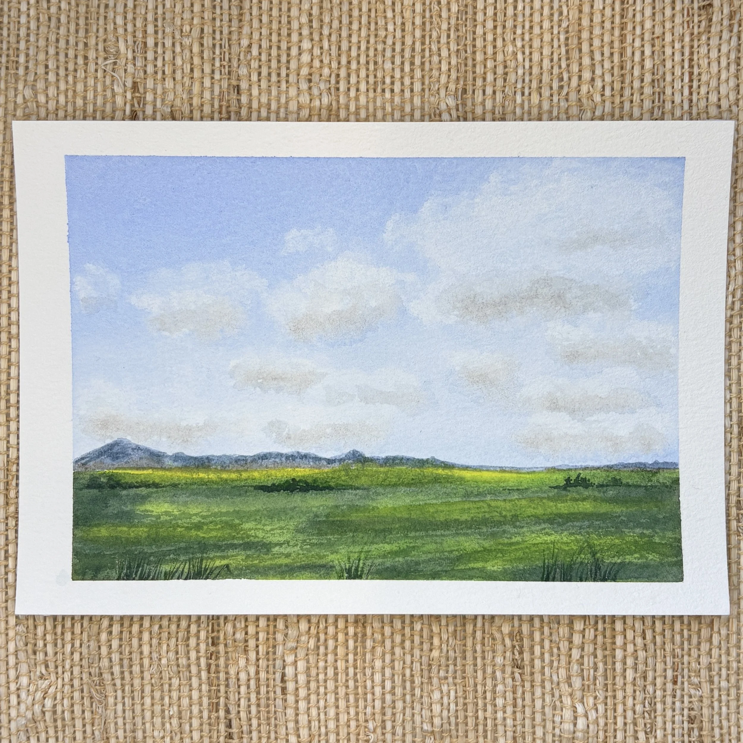 Oregon Plains