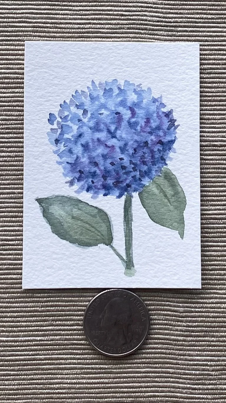 Hydrangea