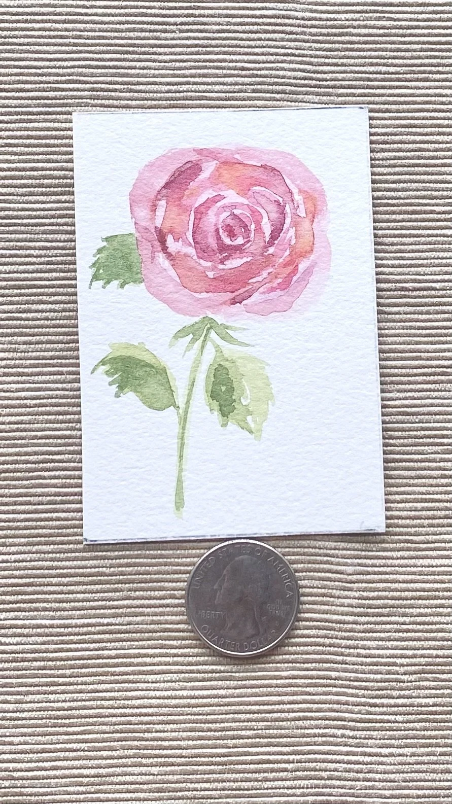 Rose