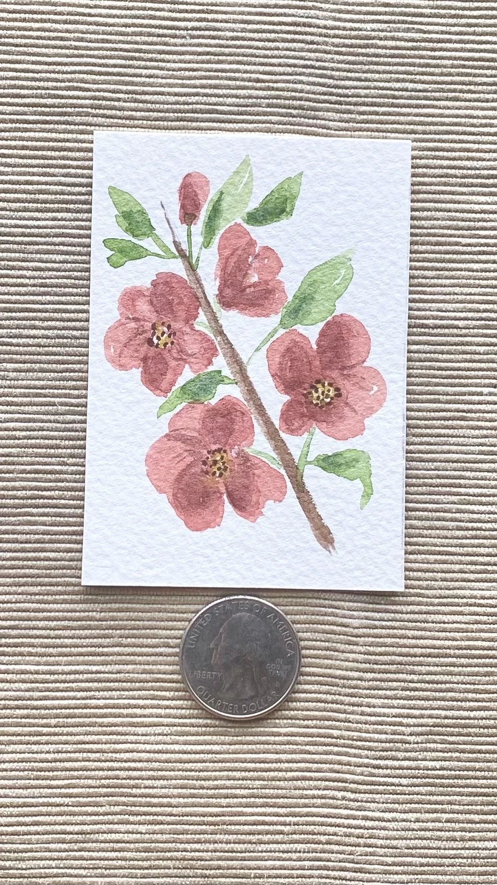 Flowering Quince