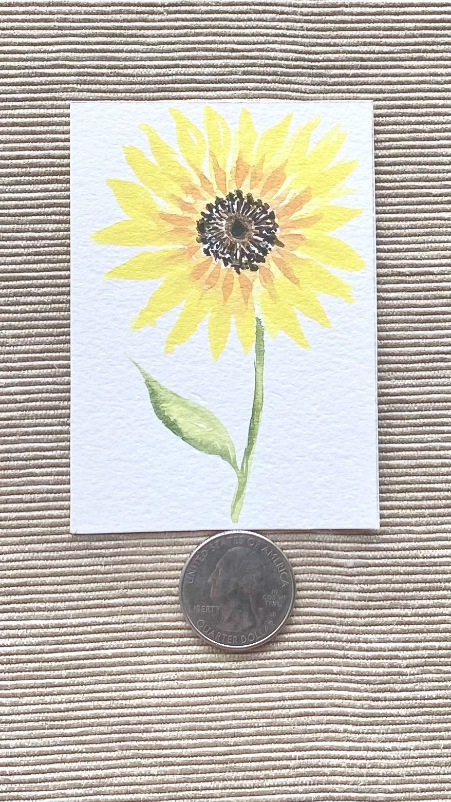 Black-Eyed Susan