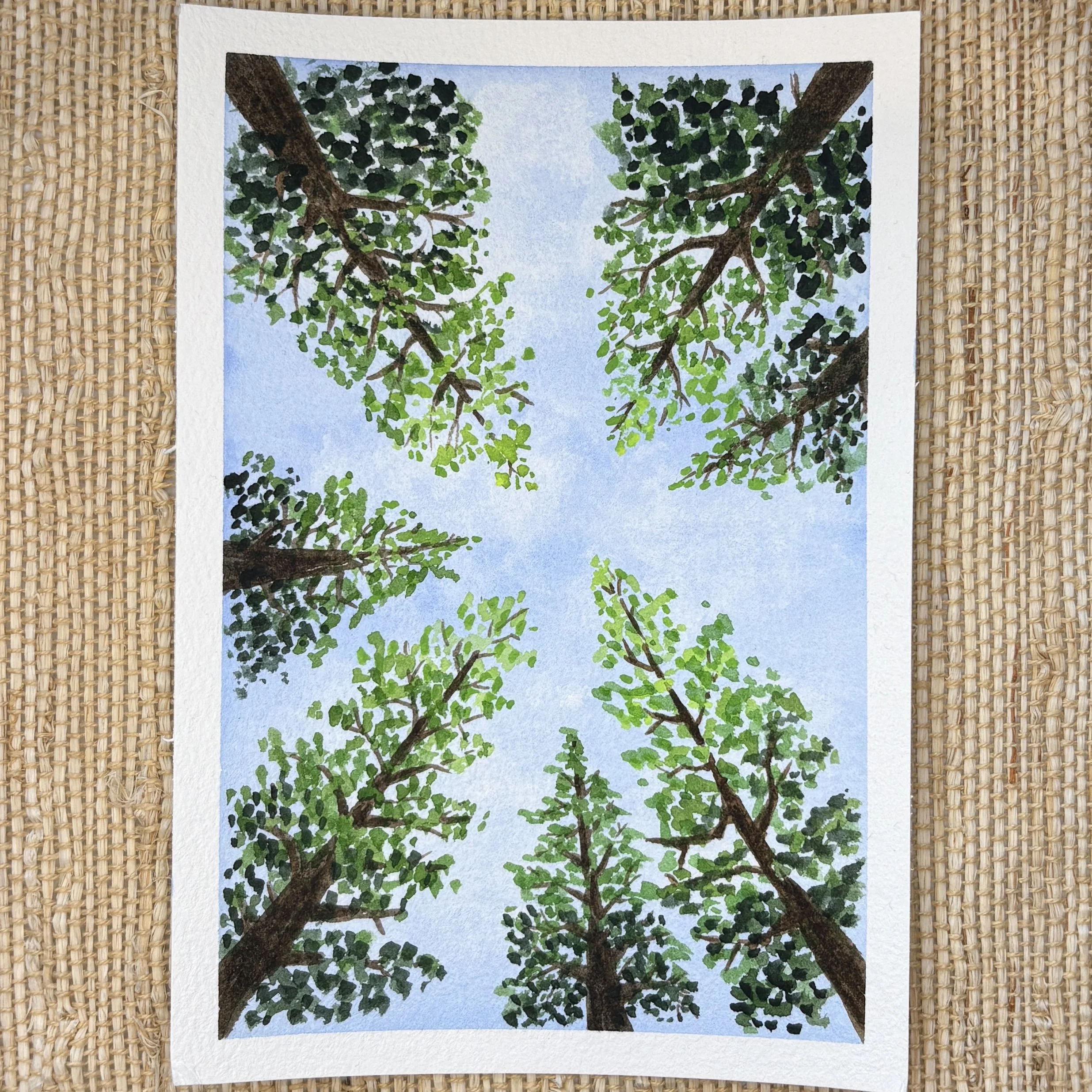 Forest Perspective