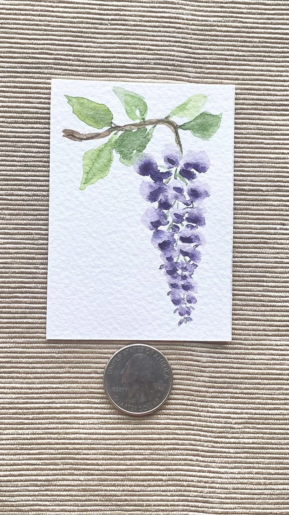 Wisteria