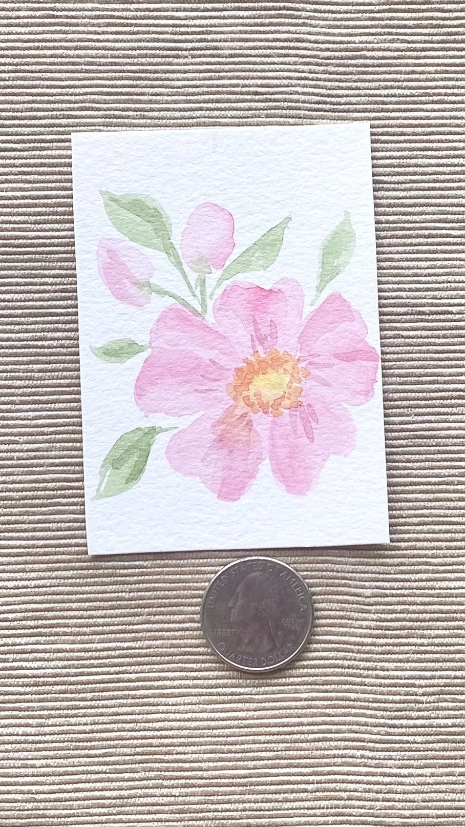 Wild Rose