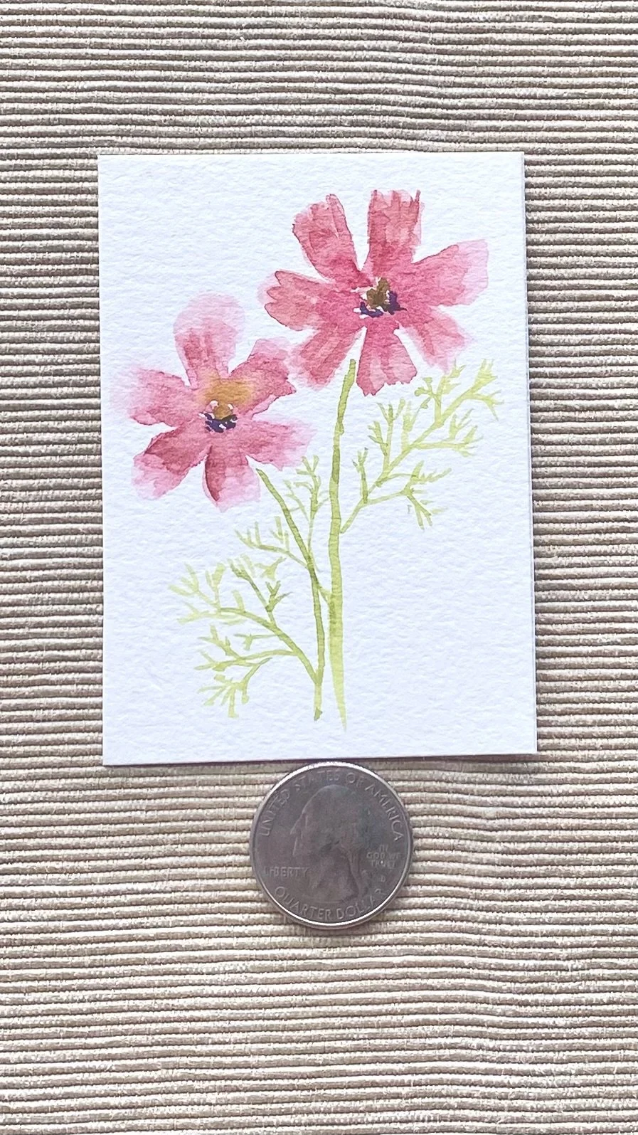 Cosmos