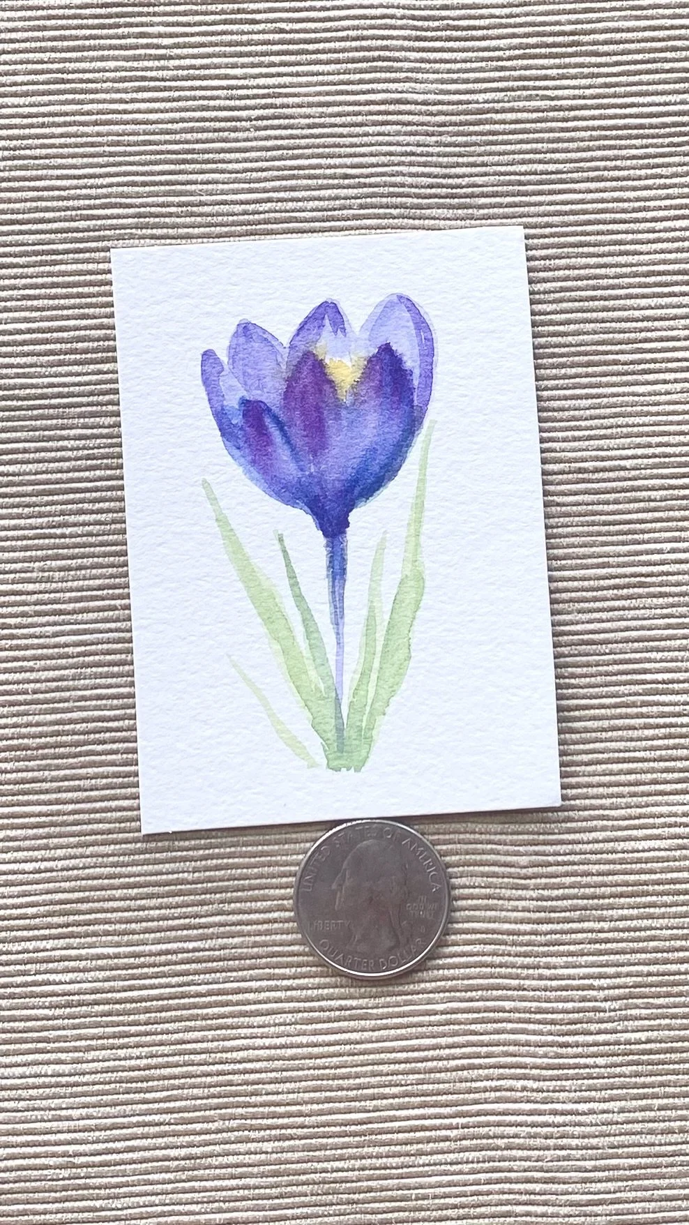 Crocus