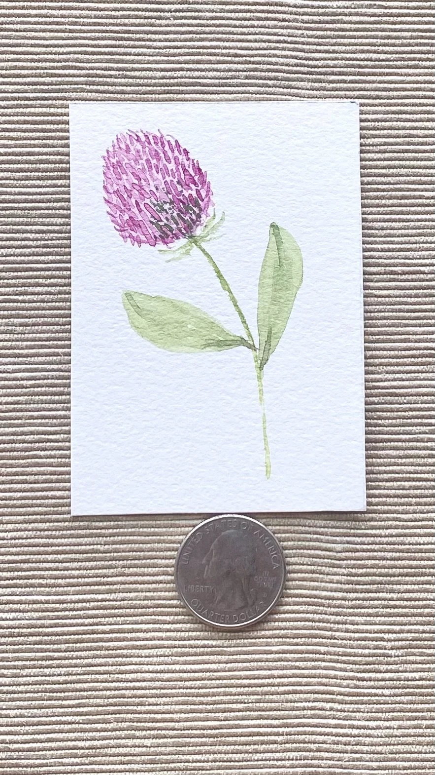 Clover