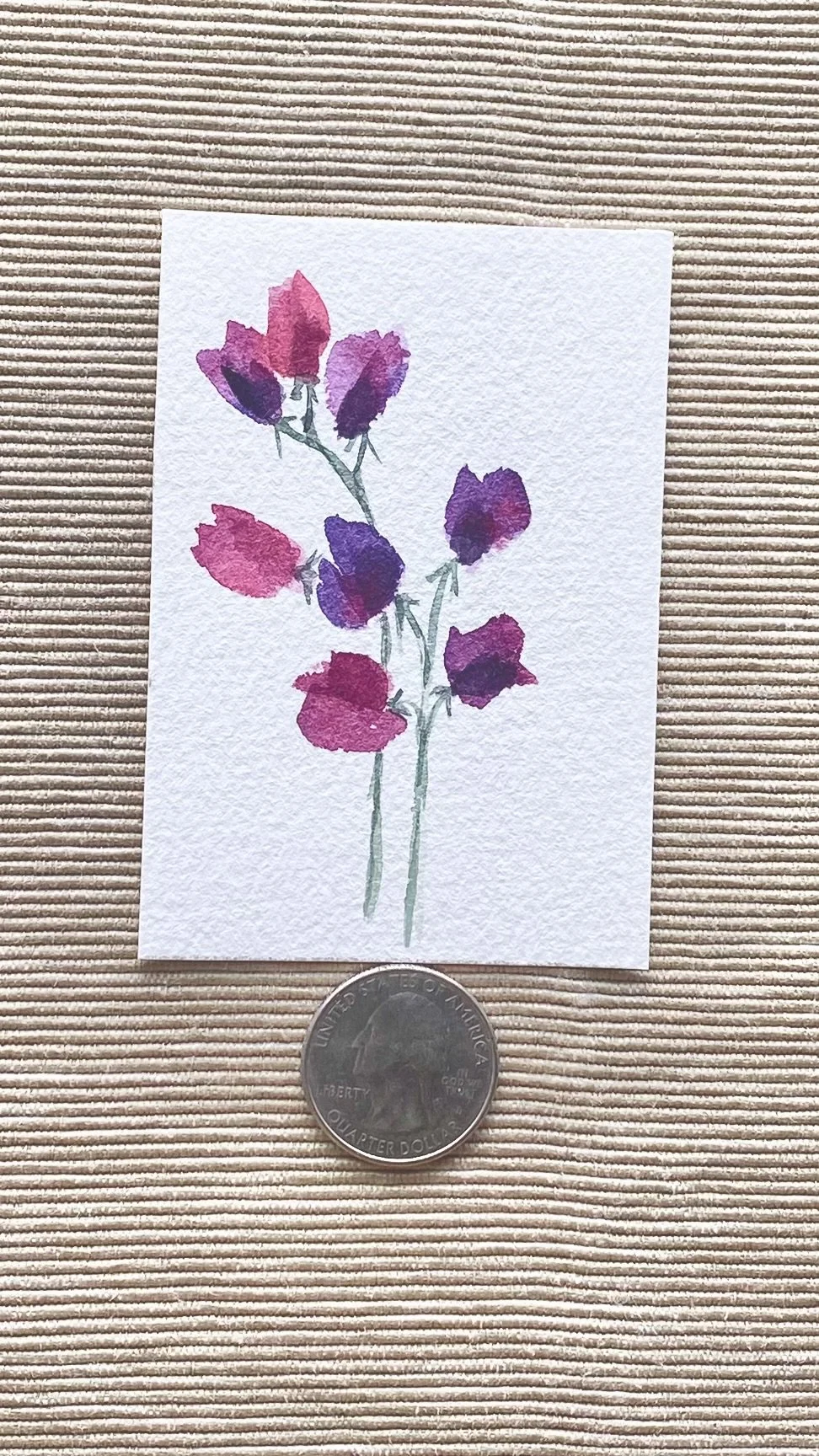 Sweet Pea
