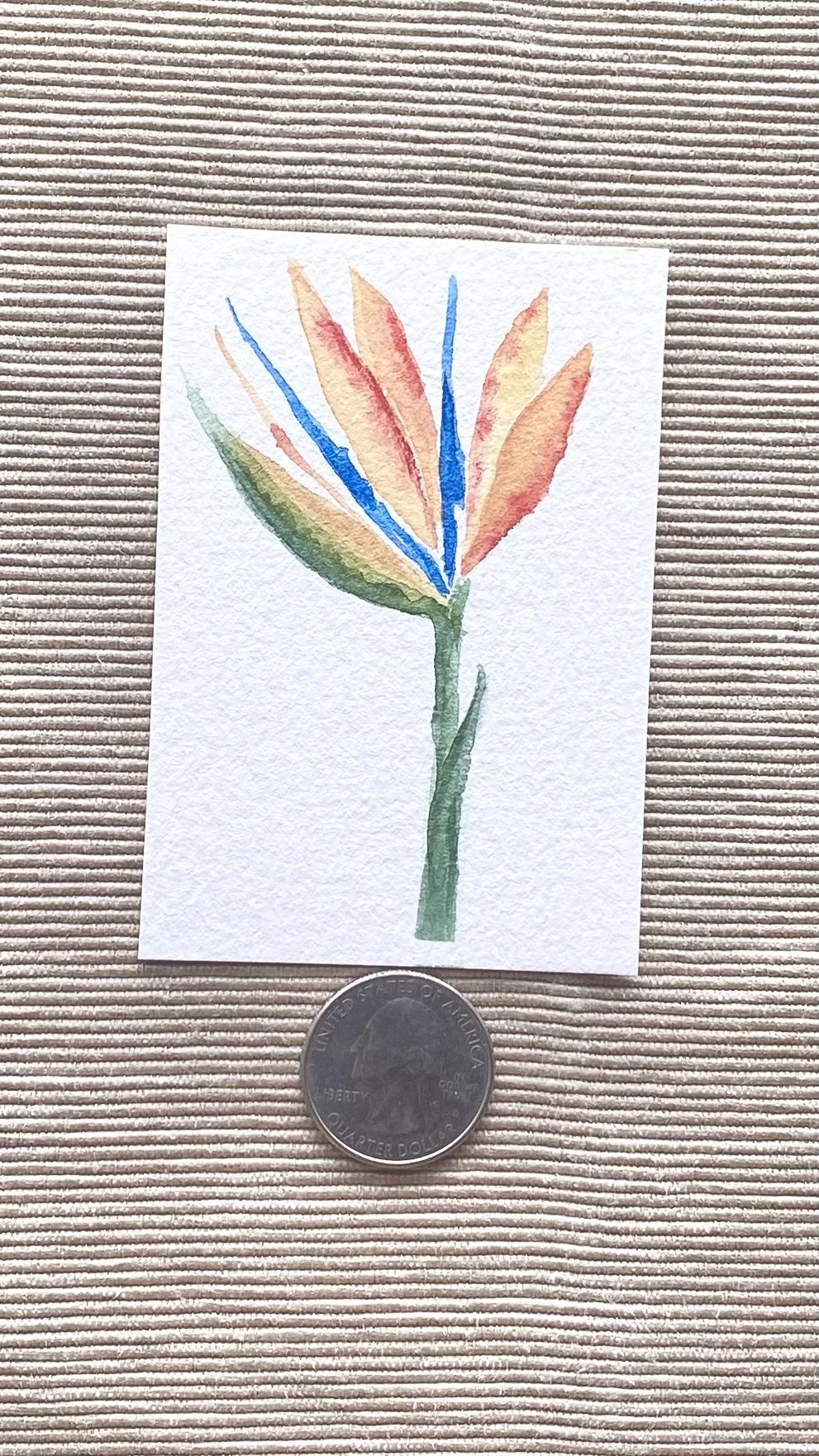 Bird of Paradise