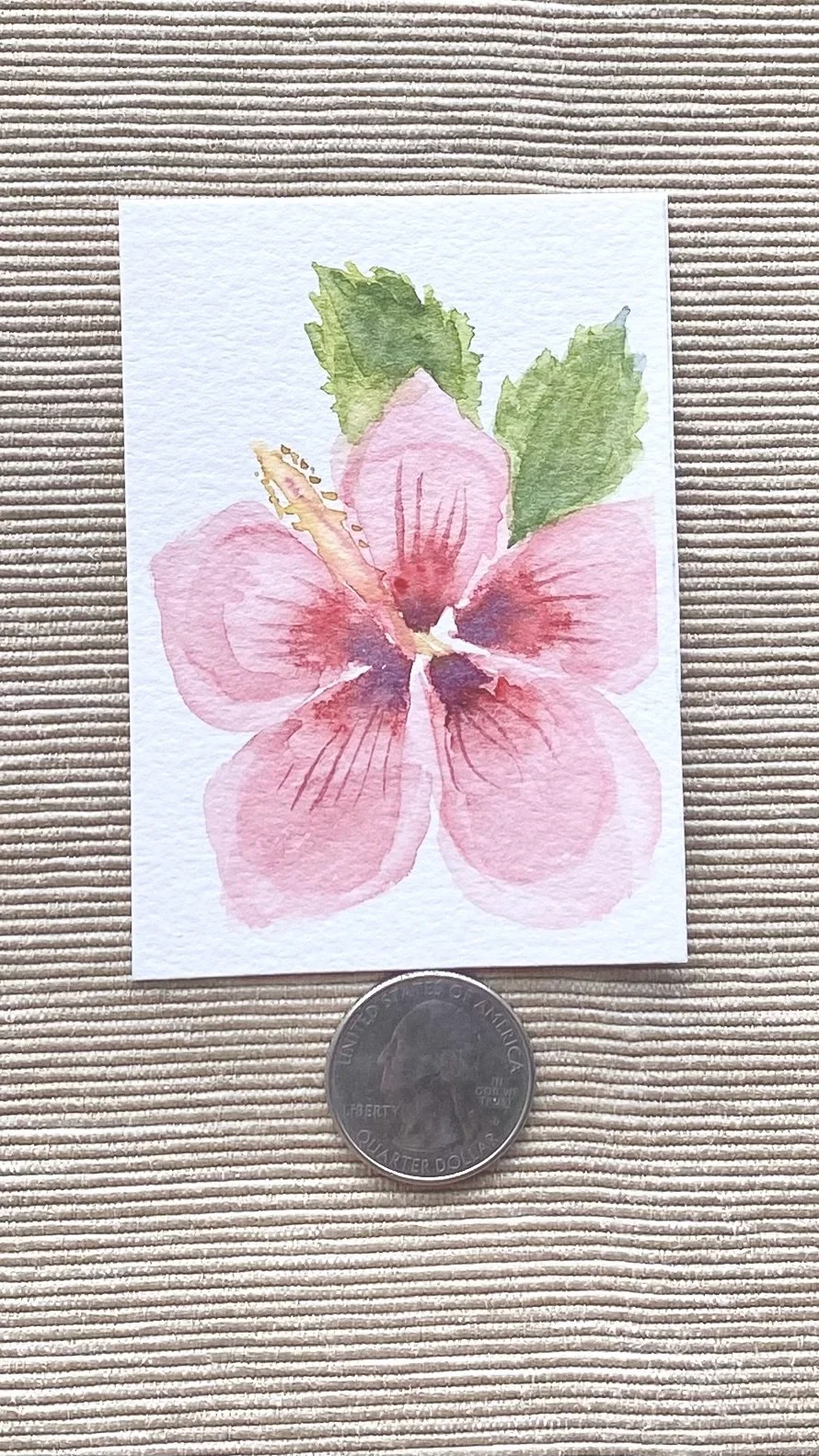 Hibiscus