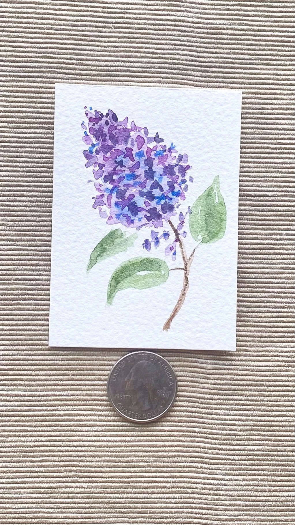 Lilac
