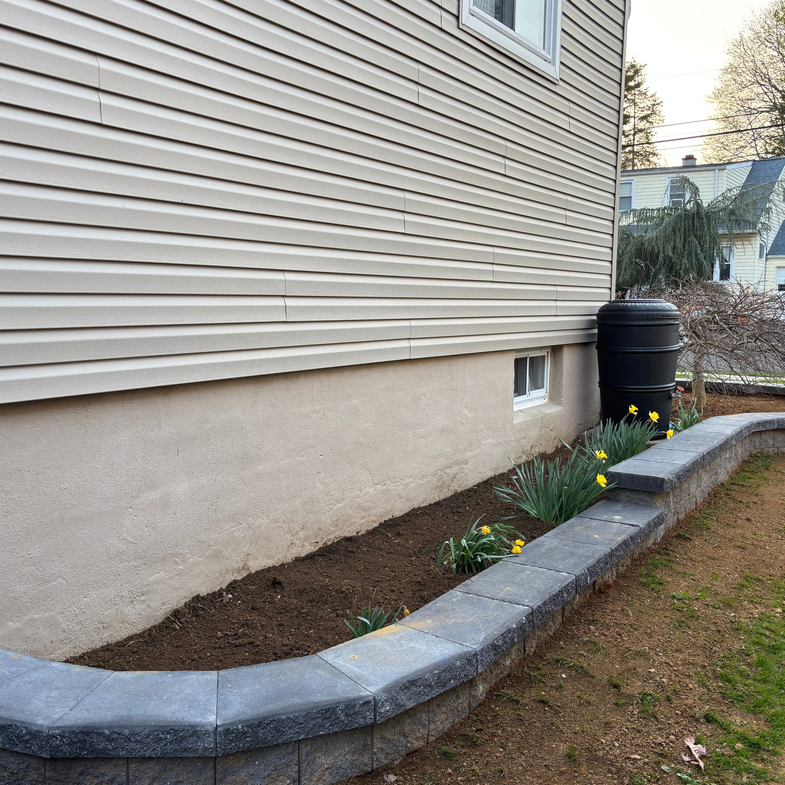 Retaining wall, side view of garden in spring with daffodils in bloom.