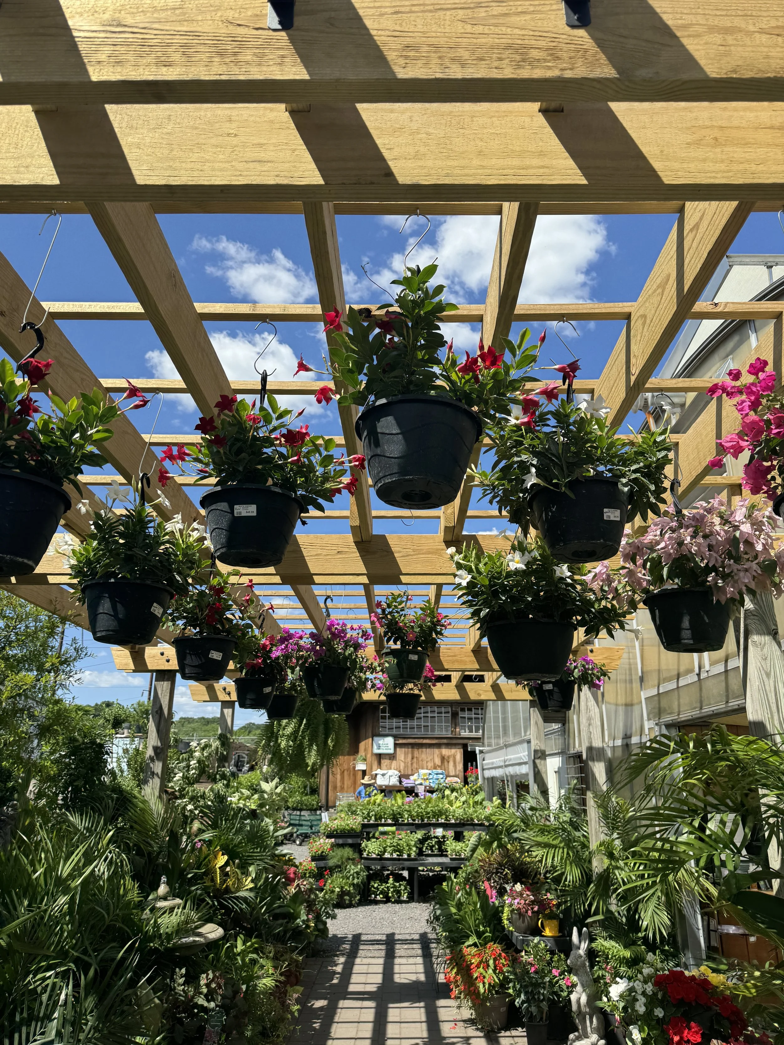 Primex Garden Center Pergola