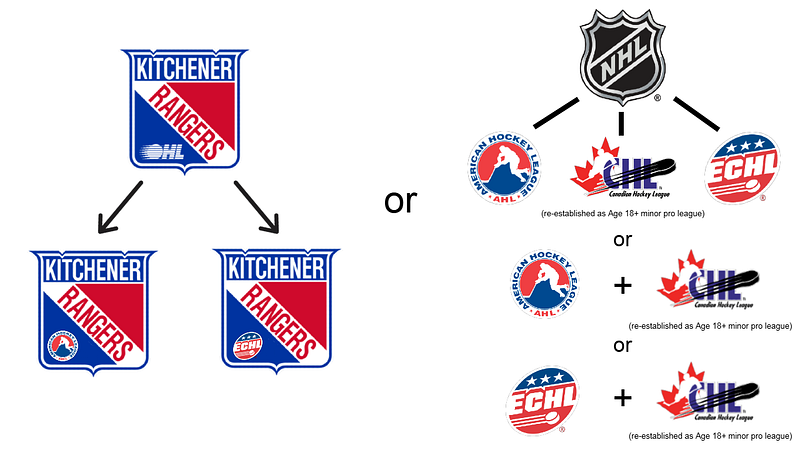 City of Kitchener/Region of Waterloo: Time To Replace Amateur Junior Hockey With Minor Professional Hockey At The&nbsp;Aud