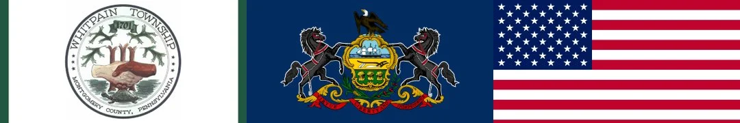Horizontal flag with the Williamstown Township seal on the left, Pennsylvania state coat of arms in the center, and the United States flag on the right.