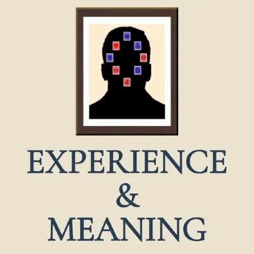 Silhouette of a person's head with red and blue icons representing thoughts or ideas, above the text 'Experience & Meaning'.