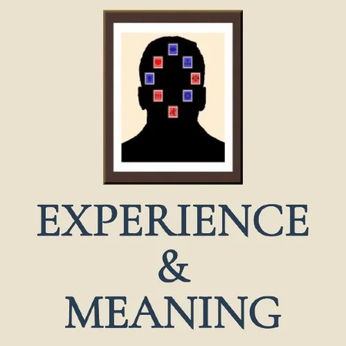 A framed silhouette of a person's head with red and blue squares on the face, above the text 'Experience & Meaning'.