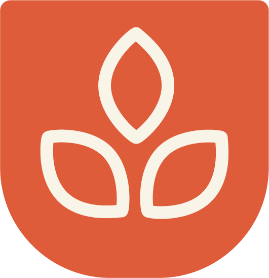 Beer Courses and Beer Certification
