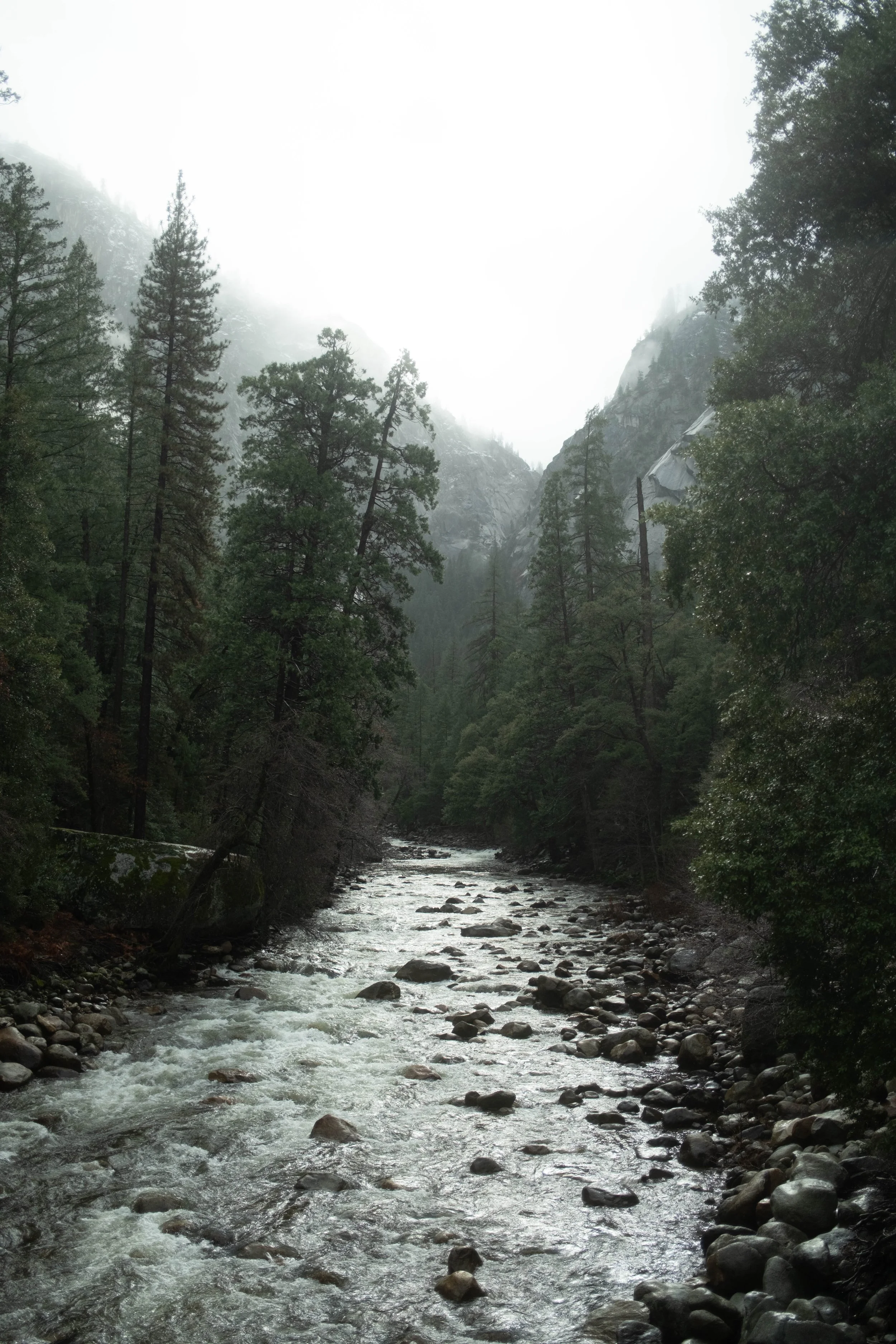 Yosemite — Fujifilm X100VI