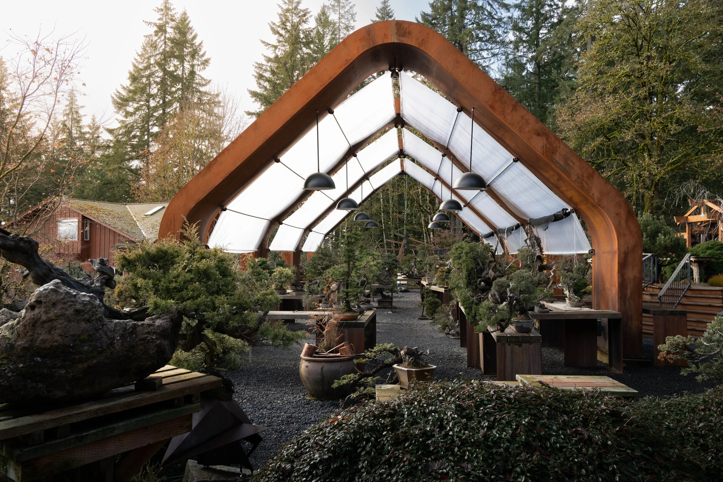 Bonsai Mirai — Leica Q2