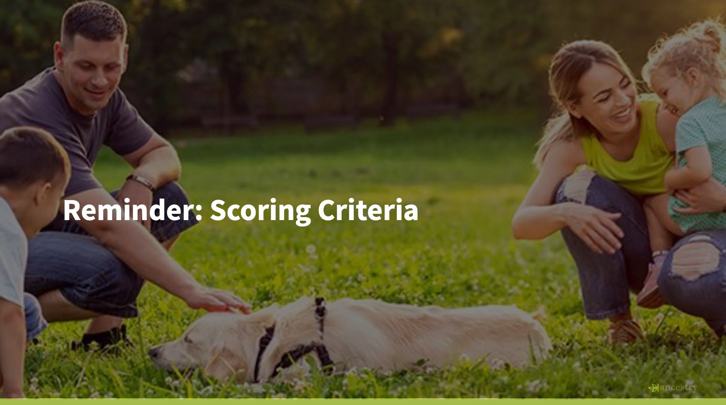 Image 4-8-26 at 7.46 PM (1).jpeg