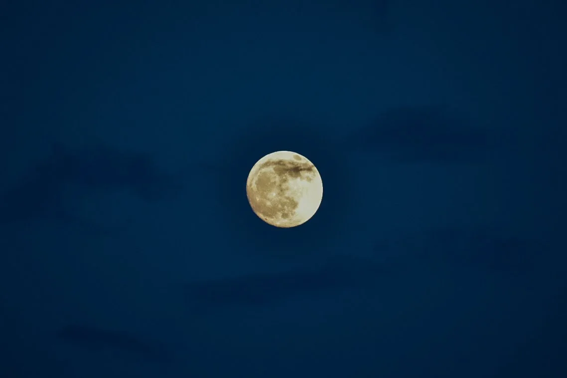 DSC_0502.JPG