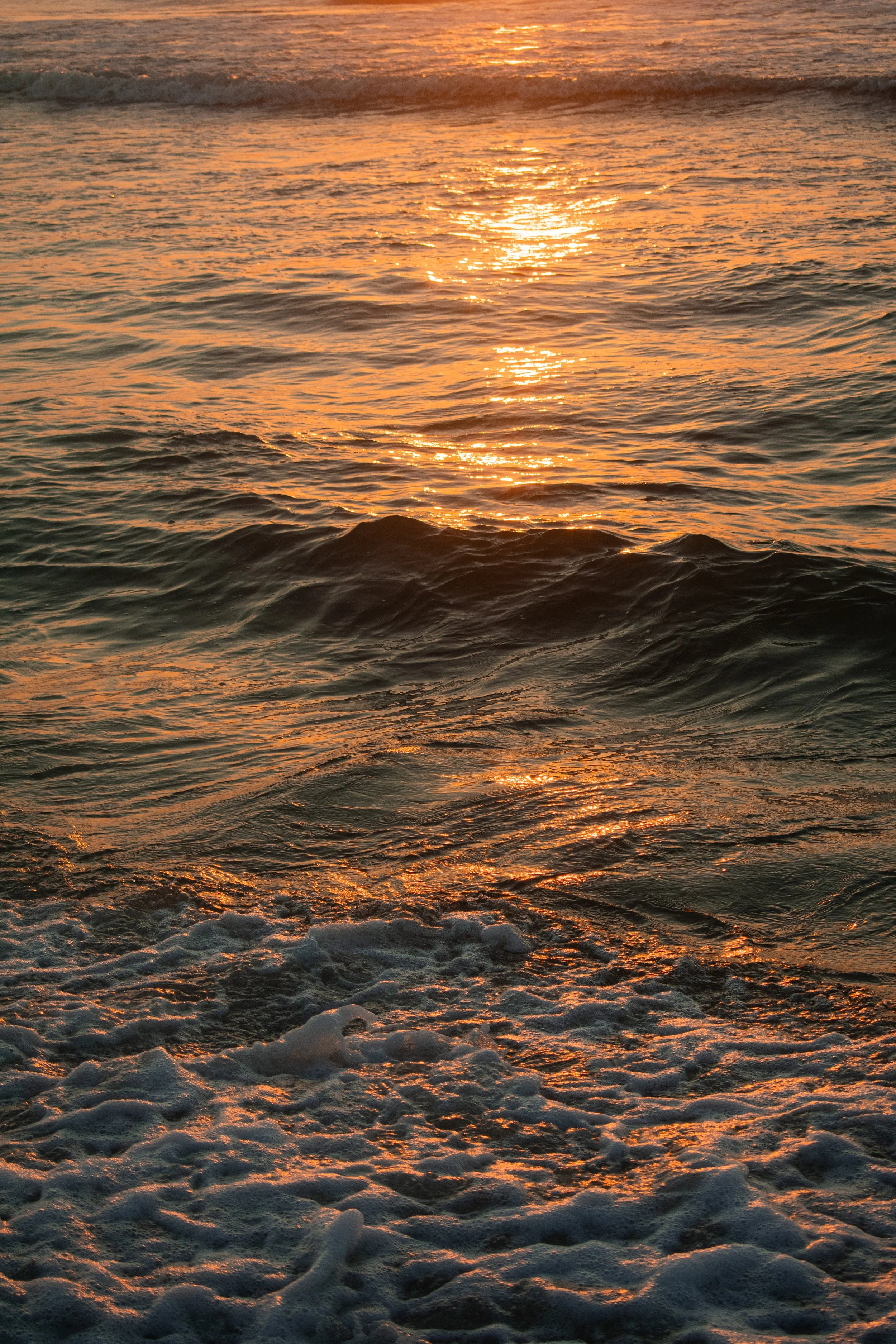 DSC_0938.JPG