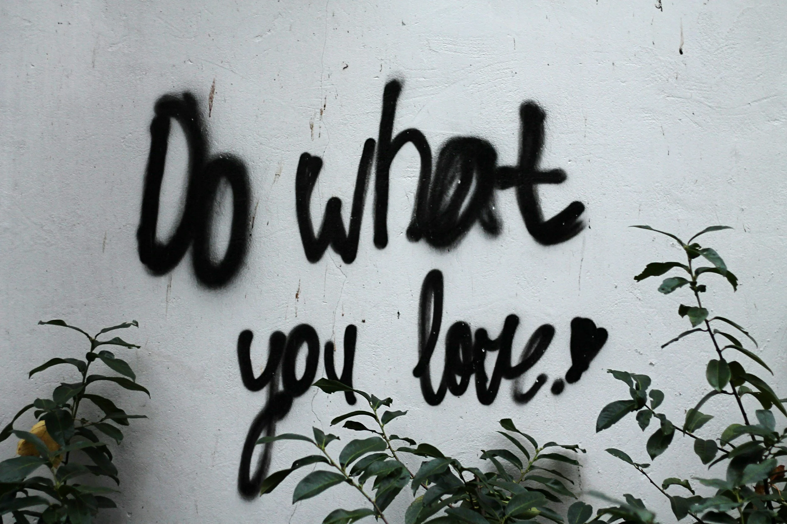 Black spray-painted graffiti on a white wall that reads "Do what you love!" with green plants at the bottom.