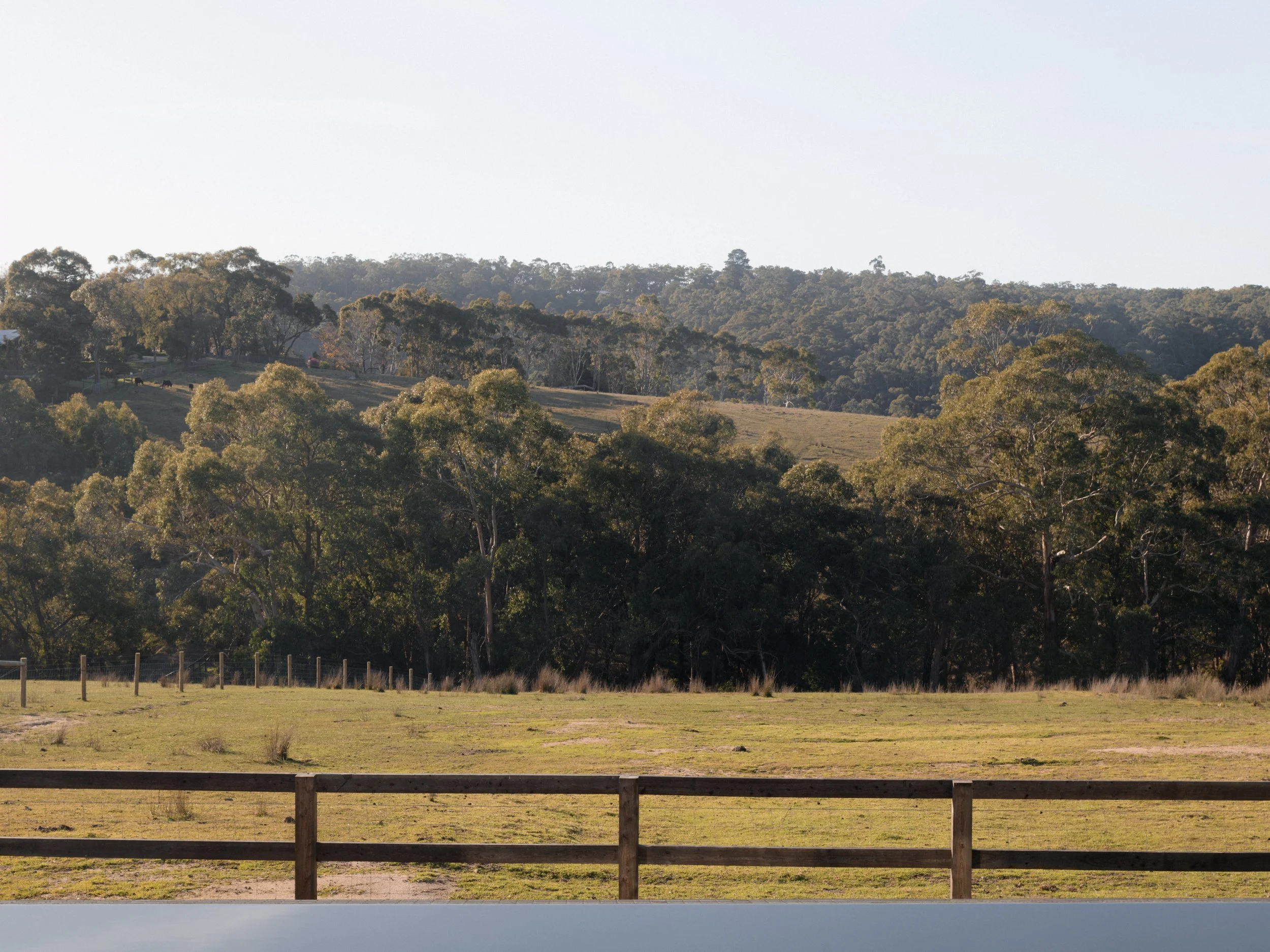 te2519_Empire Interiors - Norbury Rd_0208.jpg