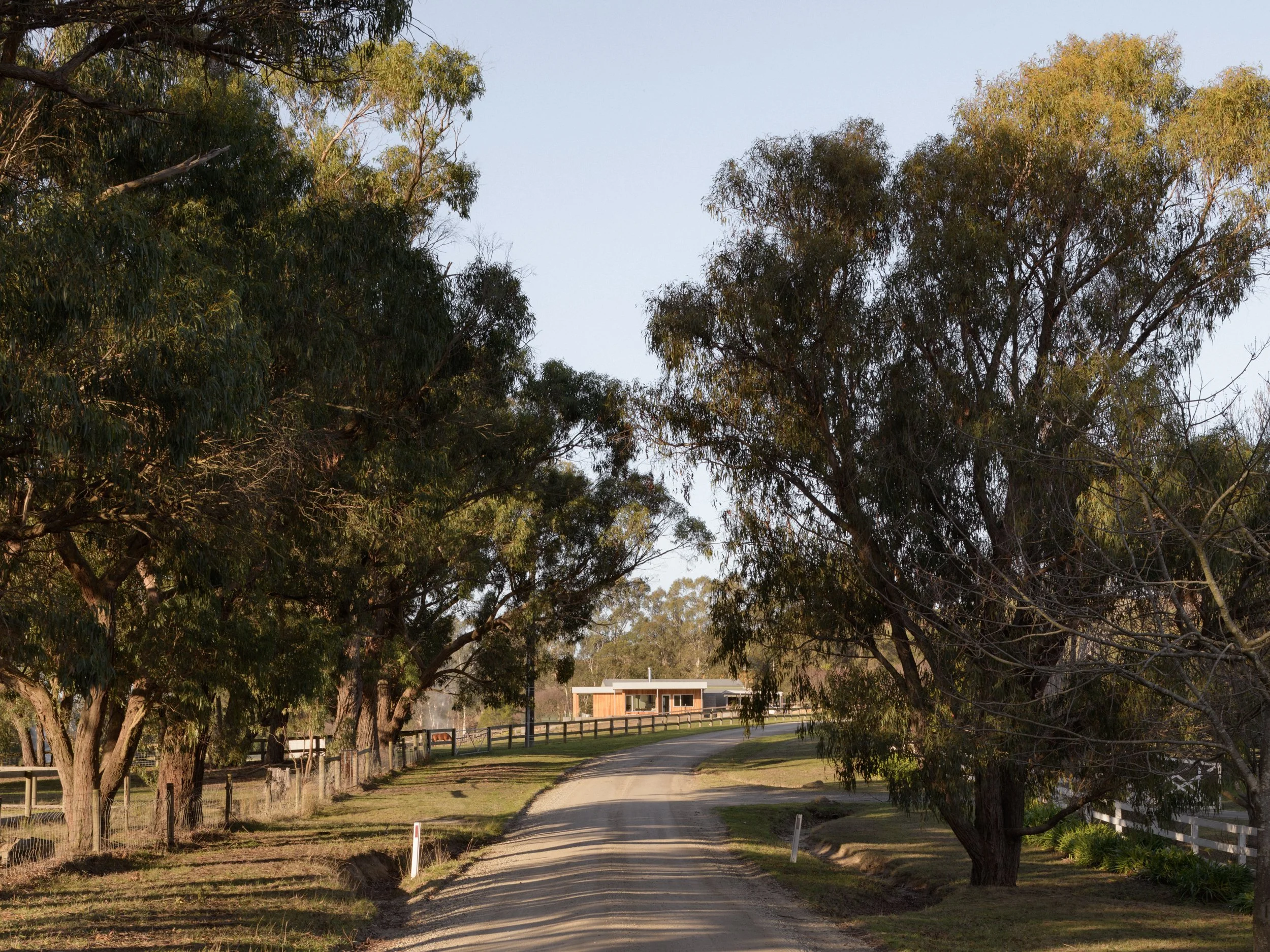 te2519_Empire Interiors - Norbury Rd_0211.jpg