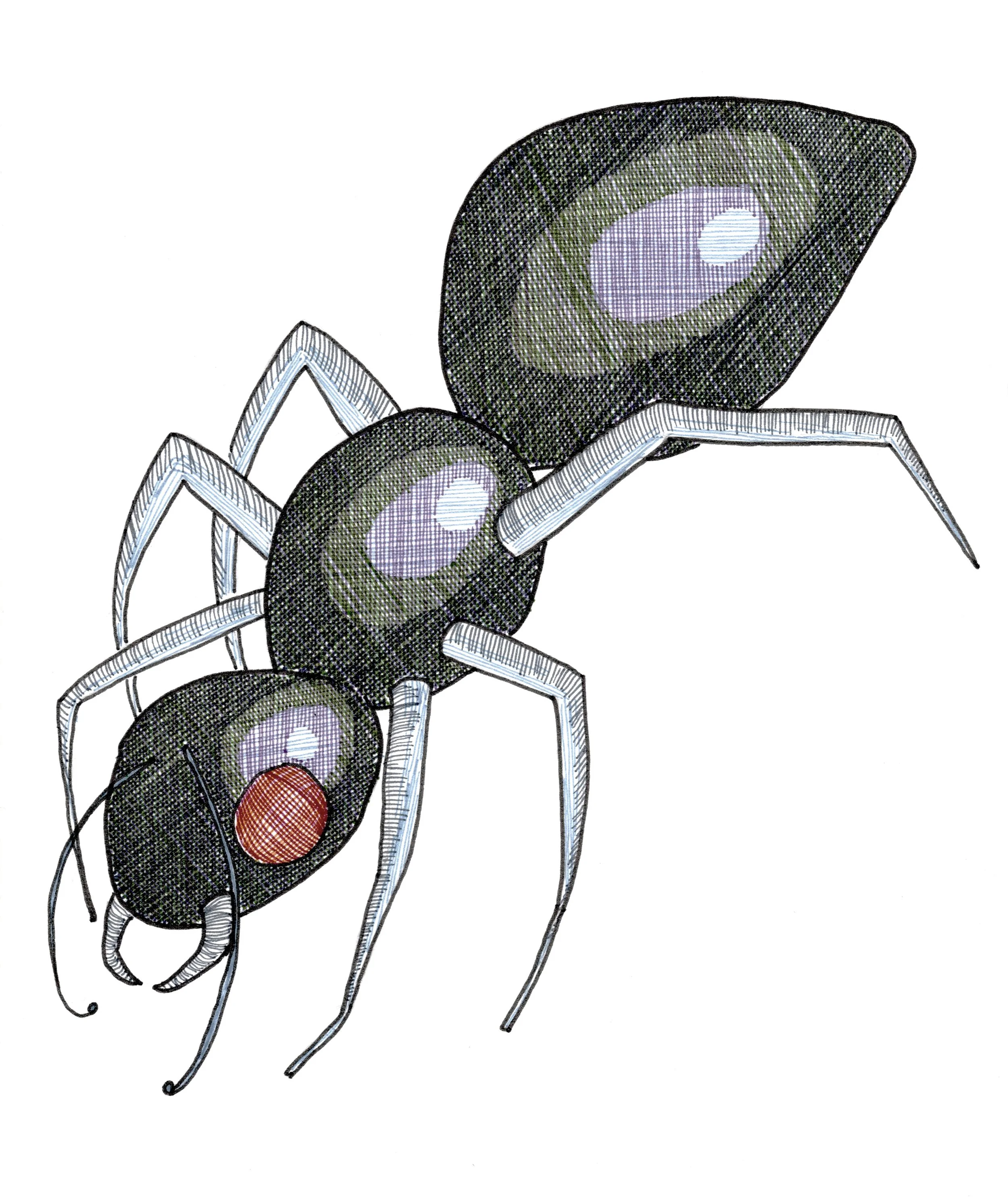 A digital illustration of a cartoon-style ant with a black body, red eye, and white legs, on a plain white background.